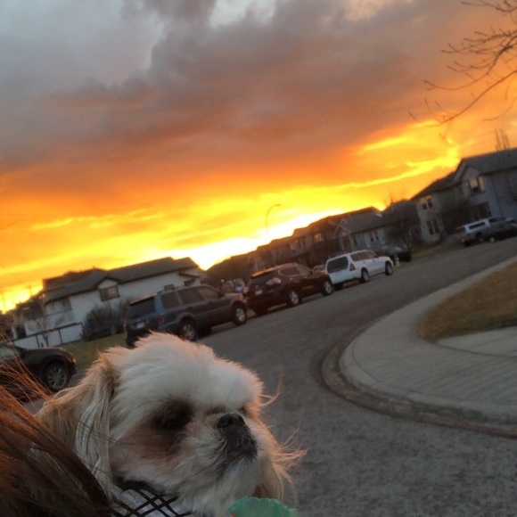 Meet your Posher, Angie - Picture 1 of 1